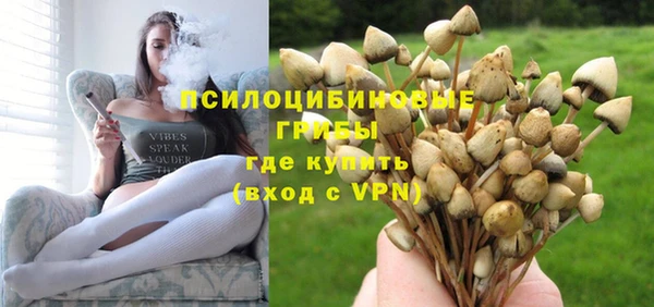 винт Балахна