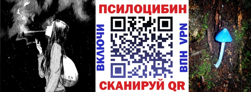 Галлюциногенные грибы Psilocybe  закладки  Шелехов 